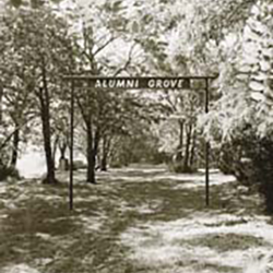 alumni grove image