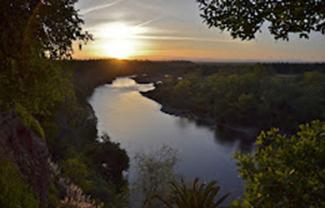 Save the American River Association Records