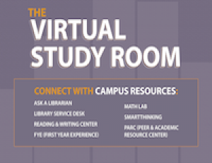virtual study room
