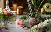 Ikebana International Sacramento Chapter Records