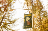 Renaissance Society of California State University, Sacramento Records