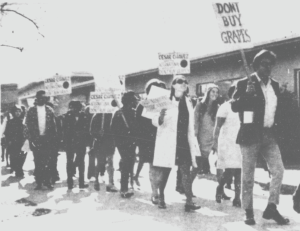The Sacramento Movimiento Chicano and Mexican American Oral History Project: Stories From La Gente